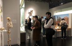 IMG_0055